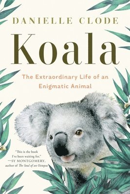 bokomslag Koala