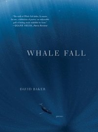 bokomslag Whale Fall