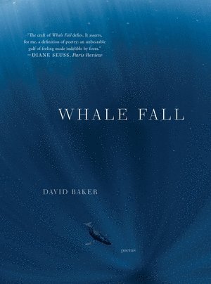 bokomslag Whale Fall