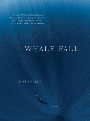 Whale Fall