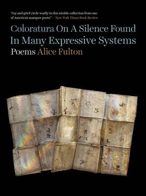 Coloratura On A Silence Found In Many Expressive Systems 1