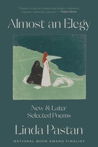 bokomslag Almost an Elegy - New and Later Selected Poems