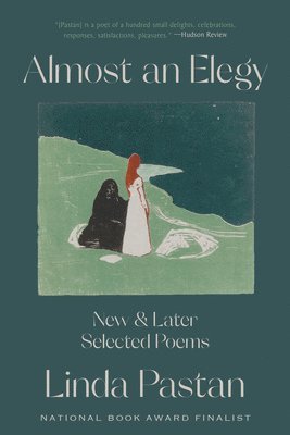 bokomslag Almost an Elegy - New and Later Selected Poems
