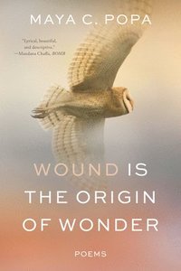 bokomslag Wound Is the Origin of Wonder - Poems
