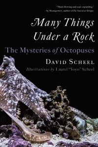 bokomslag Many Things Under a Rock - The Mysteries of Octopuses
