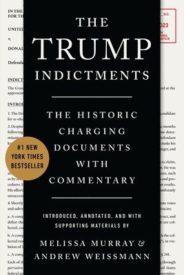 bokomslag The Trump Indictments