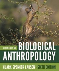 bokomslag Essentials of Biological Anthropology