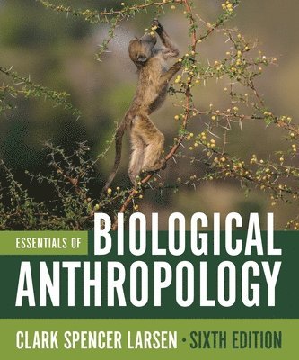 bokomslag Essentials of Biological Anthropology