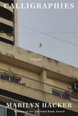 bokomslag Calligraphies - Poems