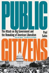 bokomslag Public Citizens - The Attack on Big Government and the Remaking of American Liberalism