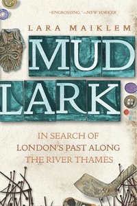 bokomslag Mudlark - In Search Of London`s Past Along The River Thames