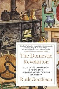 bokomslag Domestic Revolution - How The Introduction Of Coal Into Victorian Homes Changed Everything