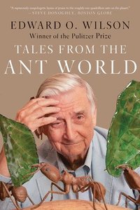 bokomslag Tales From The Ant World