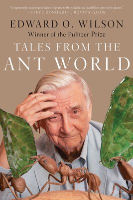 Edward O. Wilson - Tales from the Ant World, Häftad
