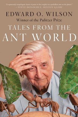 bokomslag Tales From The Ant World