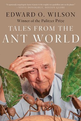 Tales From The Ant World 1