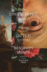 bokomslag The Upside-Down World