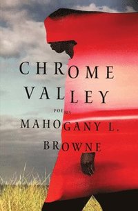 bokomslag Chrome Valley