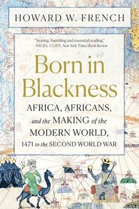 bokomslag Born in Blackness