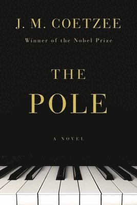 bokomslag The Pole - A Novel