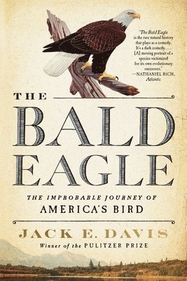 The Bald Eagle 1