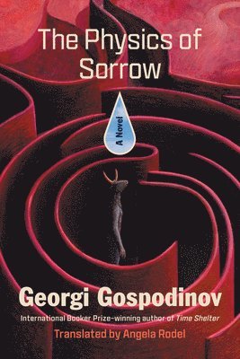bokomslag The Physics of Sorrow