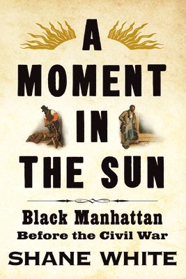 Shane White - Moment in the Sun, Inbunden