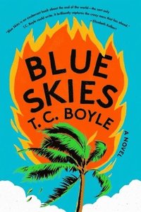 bokomslag Blue Skies - A Novel