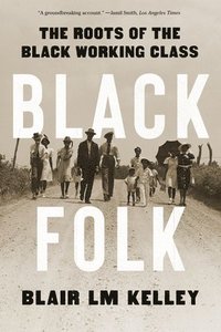 bokomslag Black Folk - The Roots of the Black Working Class