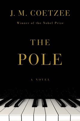 bokomslag The Pole - A Novel