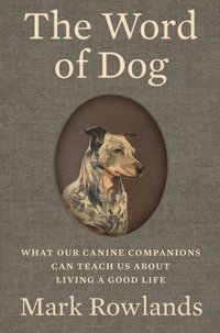 bokomslag The Word of Dog: What Our Canine Companions Can Teach Us about Living a Good Life