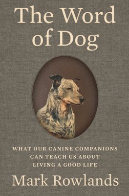 bokomslag The Word of Dog: What Our Canine Companions Can Teach Us about Living a Good Life