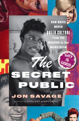 bokomslag The Secret Public