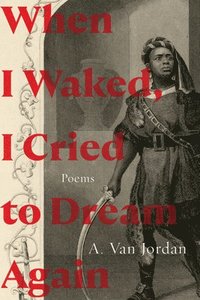 bokomslag When I Waked, I Cried to Dream Again: Poems