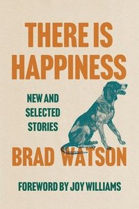 bokomslag There Is Happiness: New and Selected Stories