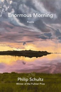 bokomslag Enormous Morning: Poems
