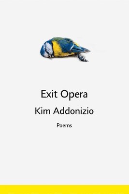 Kim Addonizio - Exit Opera, Häftad