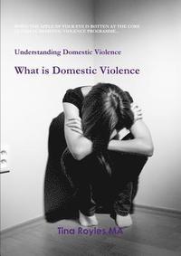 bokomslag Understanding Domestic Violence