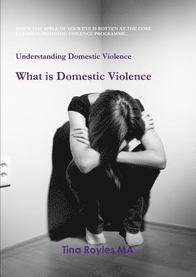 Understanding Domestic Violence 1