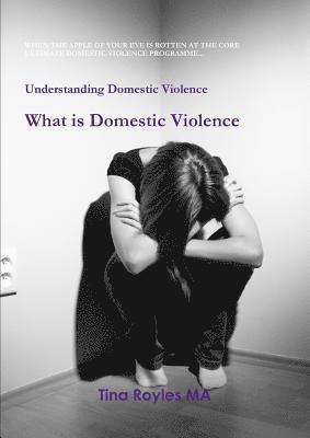 Understanding Domestic Violence