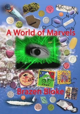 bokomslag World of Marvels