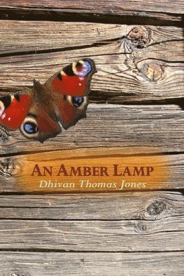 bokomslag Amber Lamp