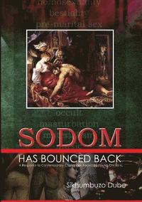 bokomslag Sodom Has Bounced Back: A Response to Contemporary Challenges Faced by Young Christians