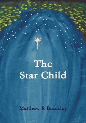 bokomslag The Star Child