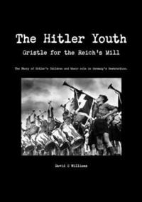 bokomslag The Hitler Youth, Gristle for the Reich's Mill