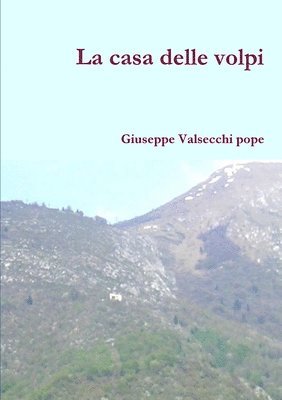 bokomslag La casa delle volpi