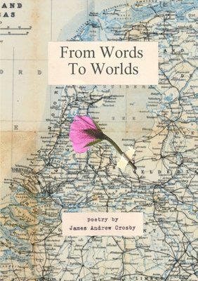 bokomslag From Words to Worlds