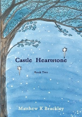 bokomslag Castle Heartstone Book Two