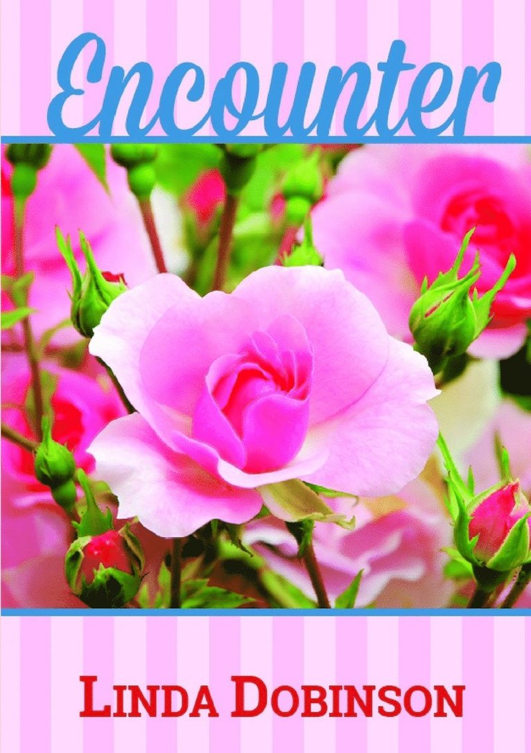 Linda Dobinson - Encounter, Häftad