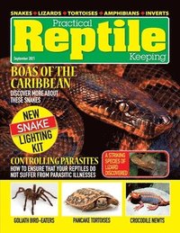 bokomslag Practical Reptile Keeping - September 2021